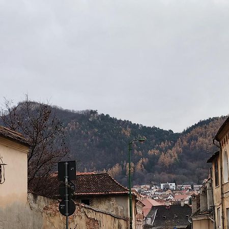 Golden Greens Studio - Mountain Scenery Μπρασόβ Εξωτερικό φωτογραφία